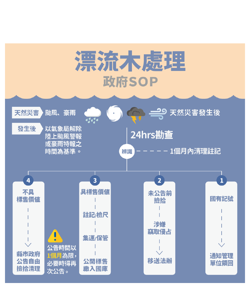 颱風後巨量漂流木都是怎麼被處理？政府SOP